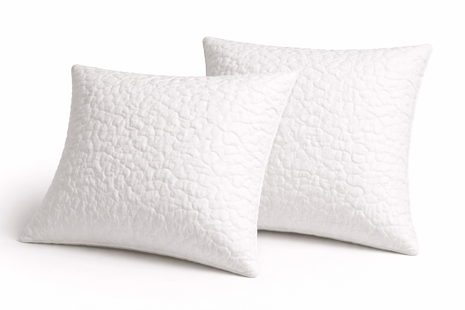 Set 2 Perne Matlasate 60x60cm - imagine 2